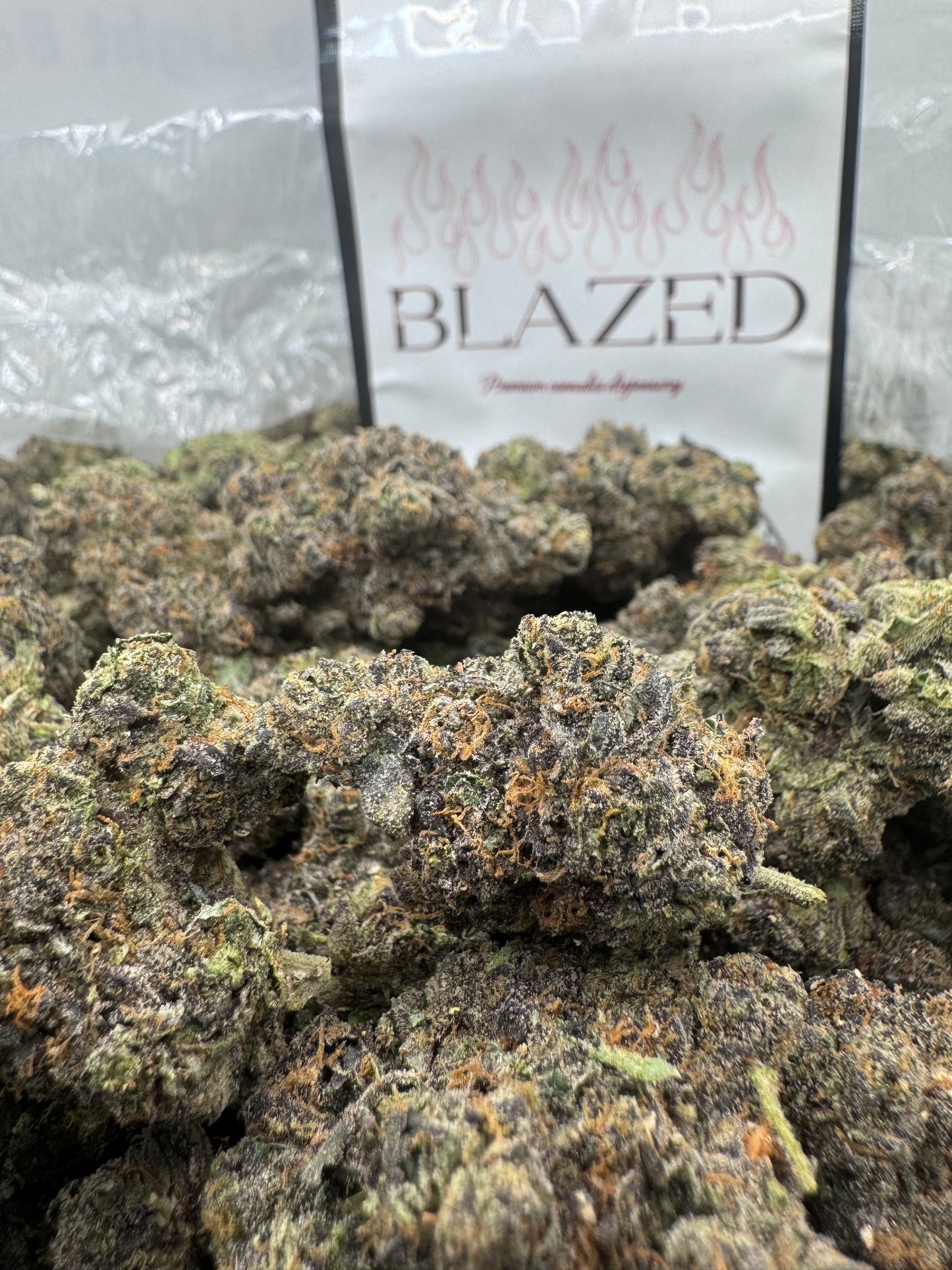 𝑱𝑬𝑳𝑳𝒀 𝒁𝑨𝑷𝑷𝑬𝑹