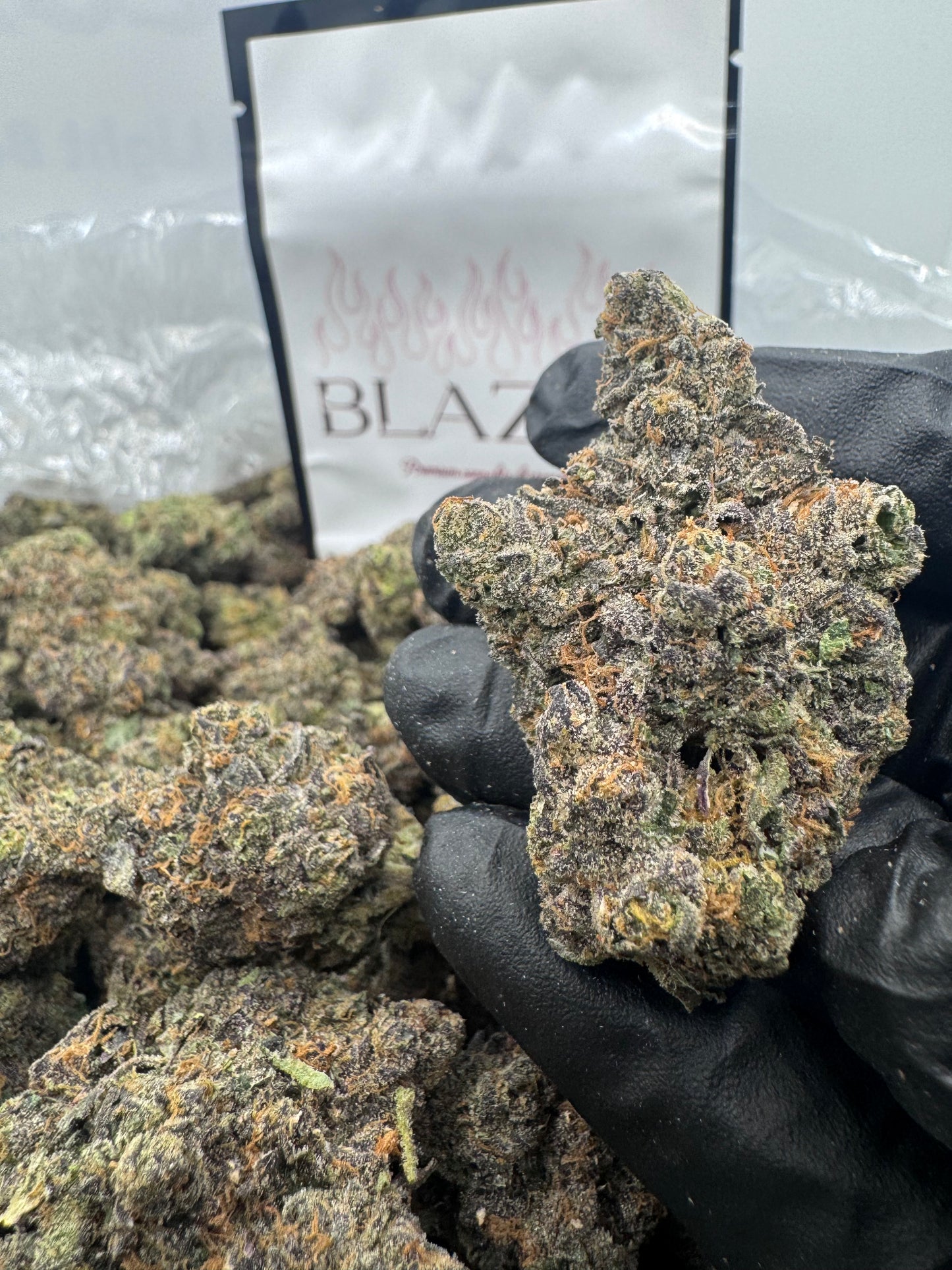 𝑱𝑬𝑳𝑳𝒀 𝒁𝑨𝑷𝑷𝑬𝑹