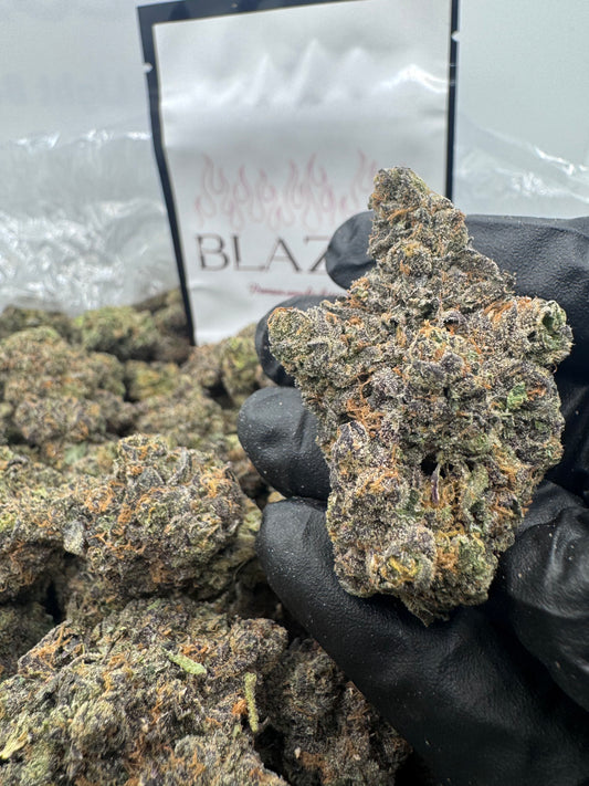 𝑱𝑬𝑳𝑳𝒀 𝒁𝑨𝑷𝑷𝑬𝑹