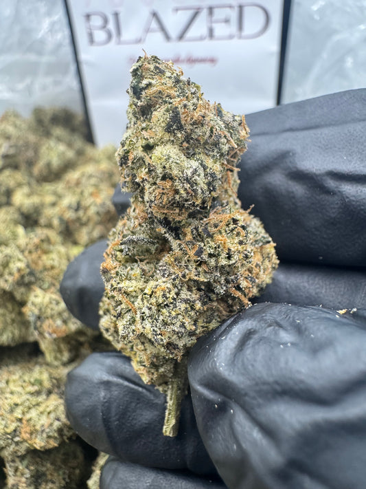 𝑩𝑳𝑼𝑬𝑩𝑬𝑹𝑹𝒀 𝑮𝑼𝑴𝑩𝑶