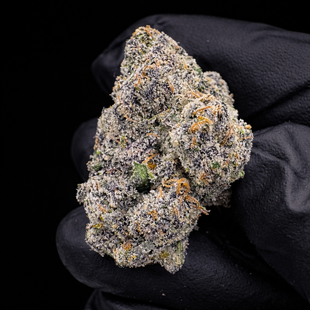Lemon Cherry Gelato LCG THCa flower indoor exotic cannabis buds