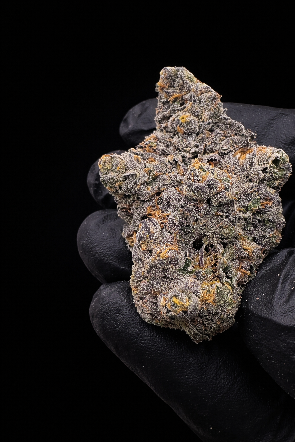 Jelly Zapper THCa flower indoor exotic cannabis buds