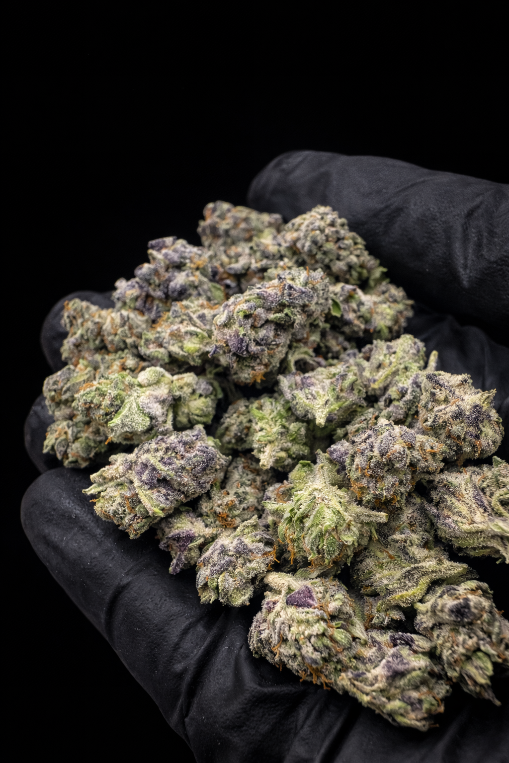 White Gelato Smallz THCa flower indoor exoticcannabis buds
